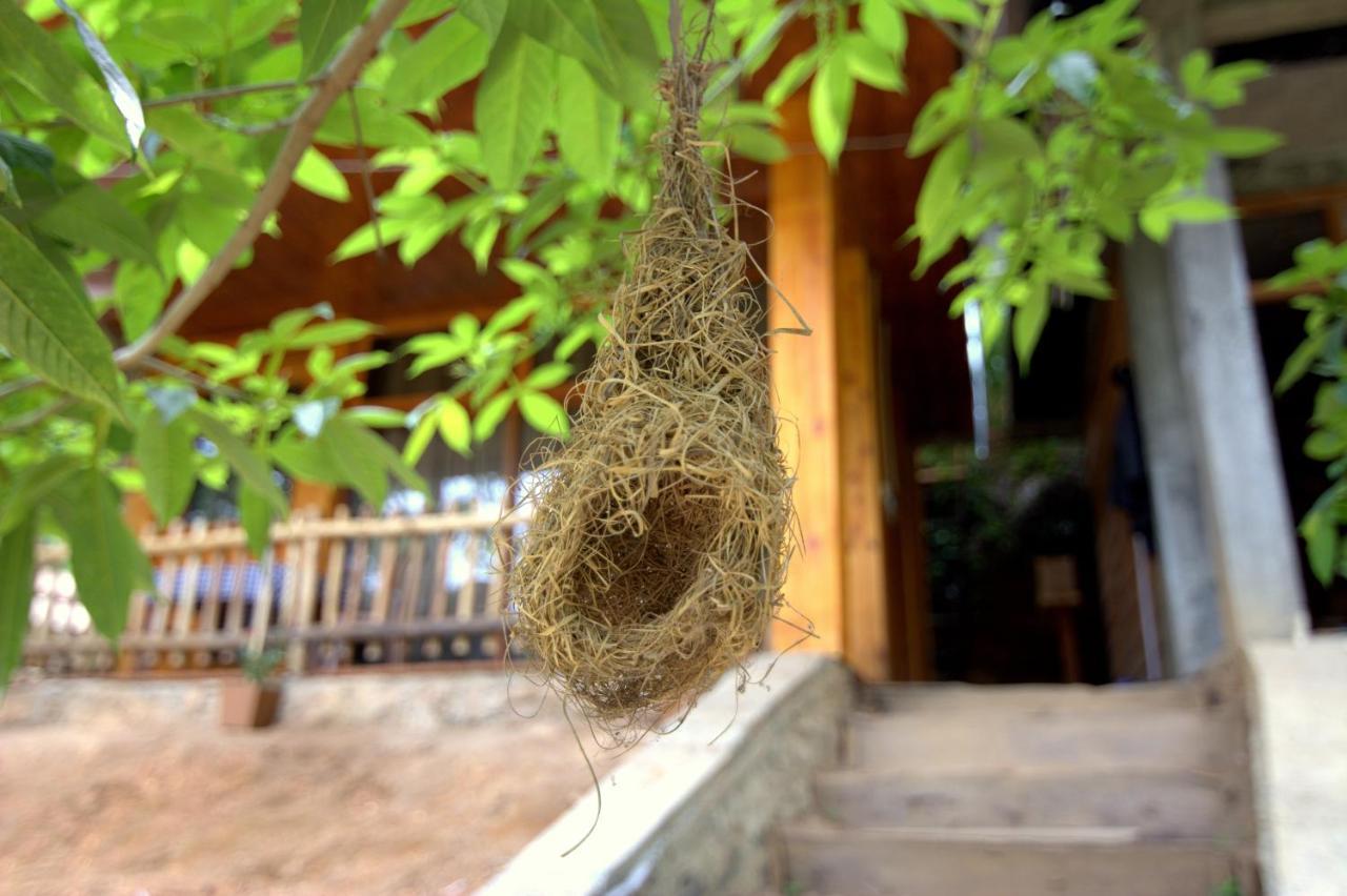 Ella Wood Cabin ภายนอก รูปภาพ