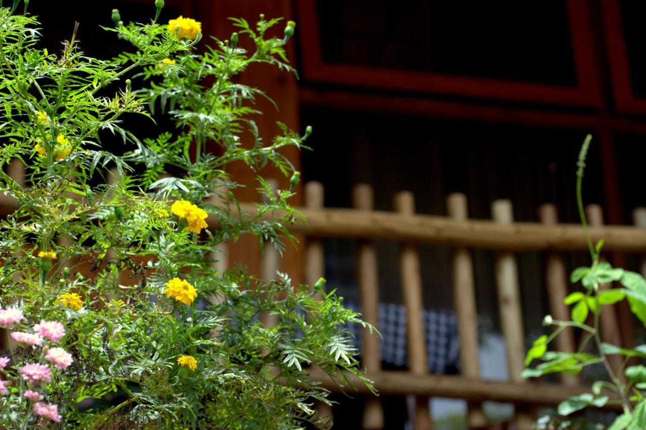 Ella Wood Cabin ภายนอก รูปภาพ