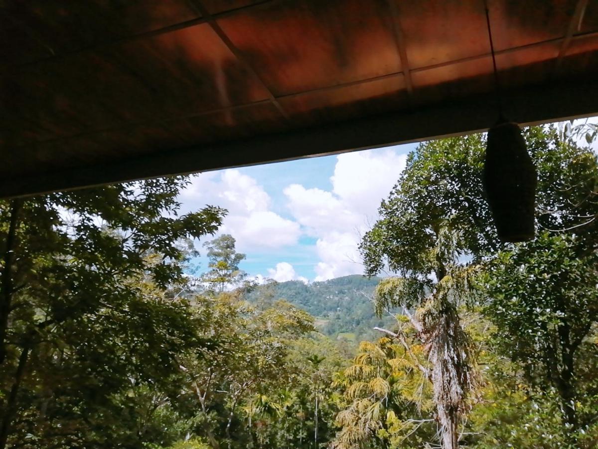 Ella Wood Cabin ภายนอก รูปภาพ