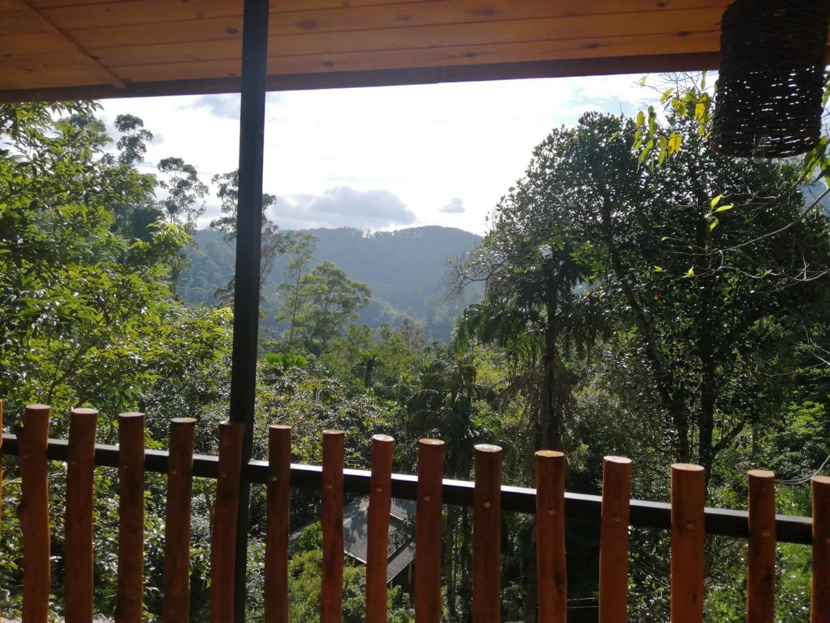 Ella Wood Cabin ภายนอก รูปภาพ